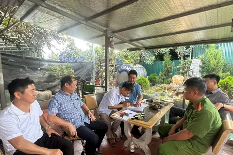 Thường Tín thành lập ba tổ công tác xử lý vi phạm đất đai, trật tự xây dựng
