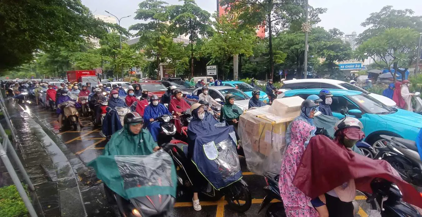 Hình ảnh 2