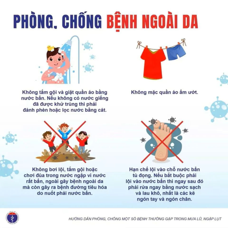 Hình ảnh 2