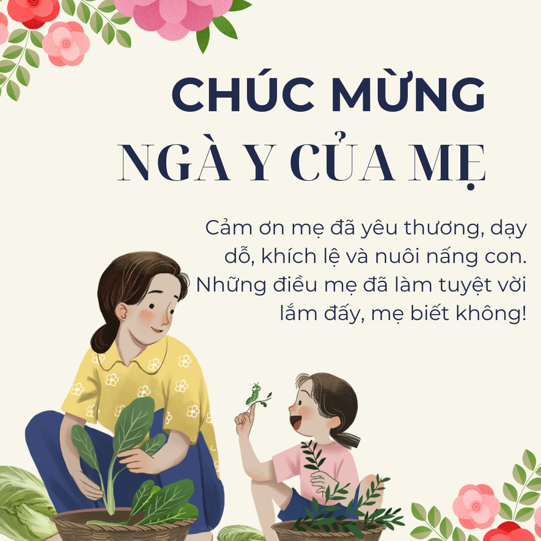 Hình ảnh 2