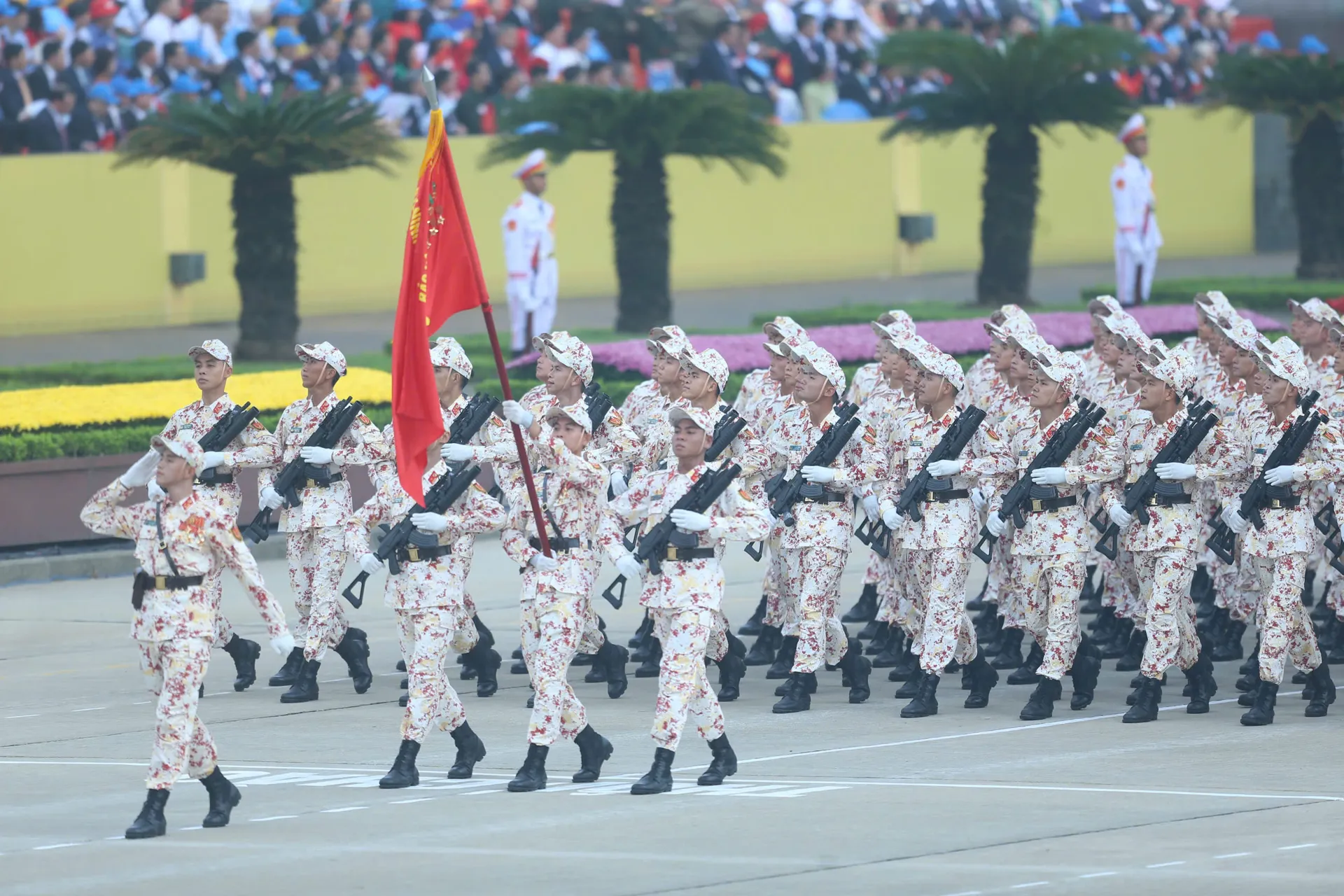 Hình ảnh 62
