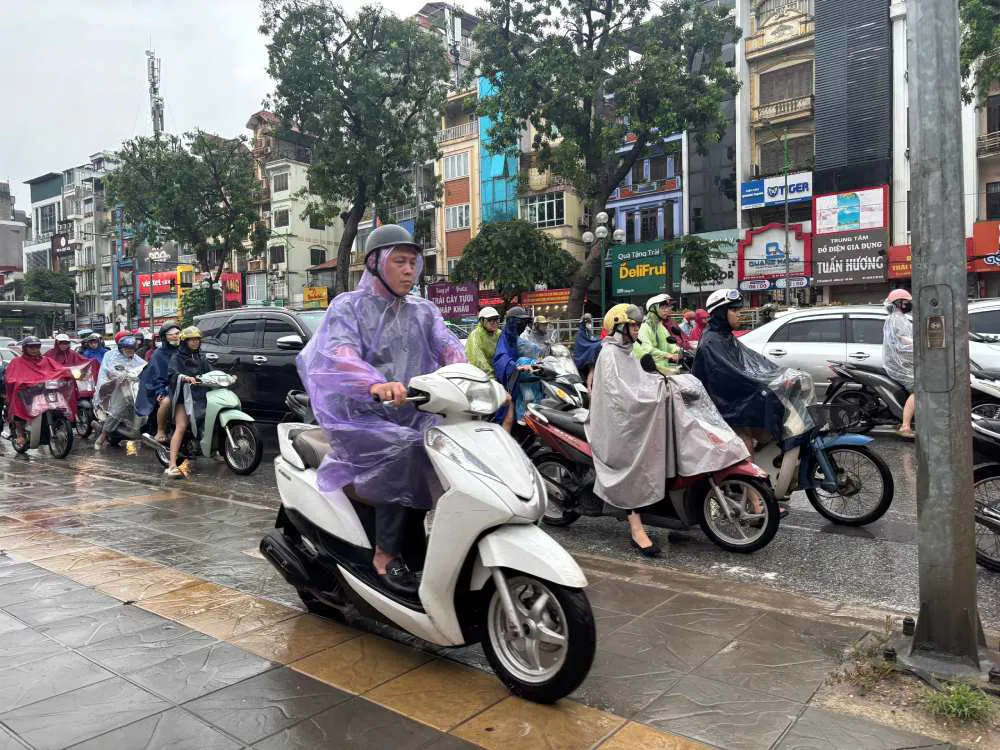 Hình ảnh 4