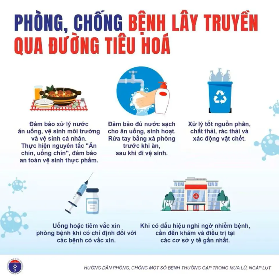 Hình ảnh 5