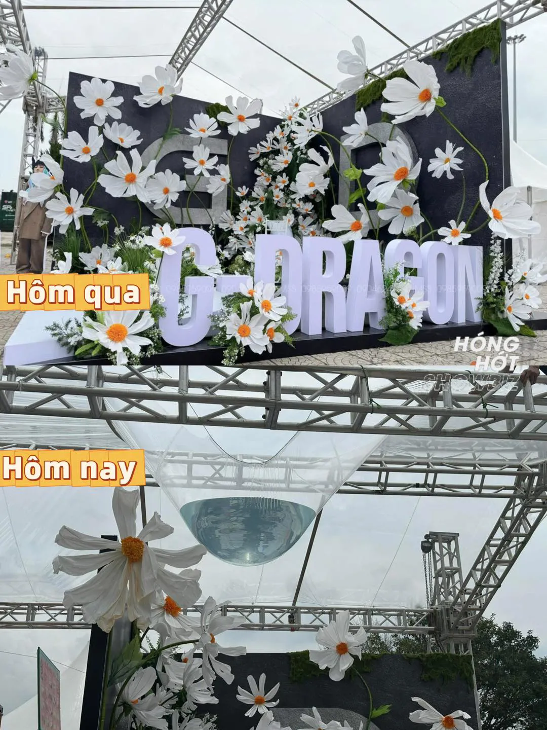Hình ảnh 1