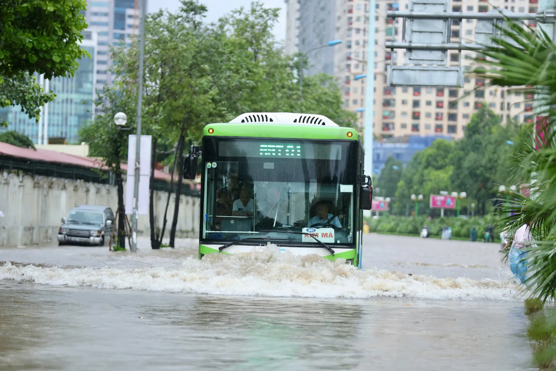 Hình ảnh 13