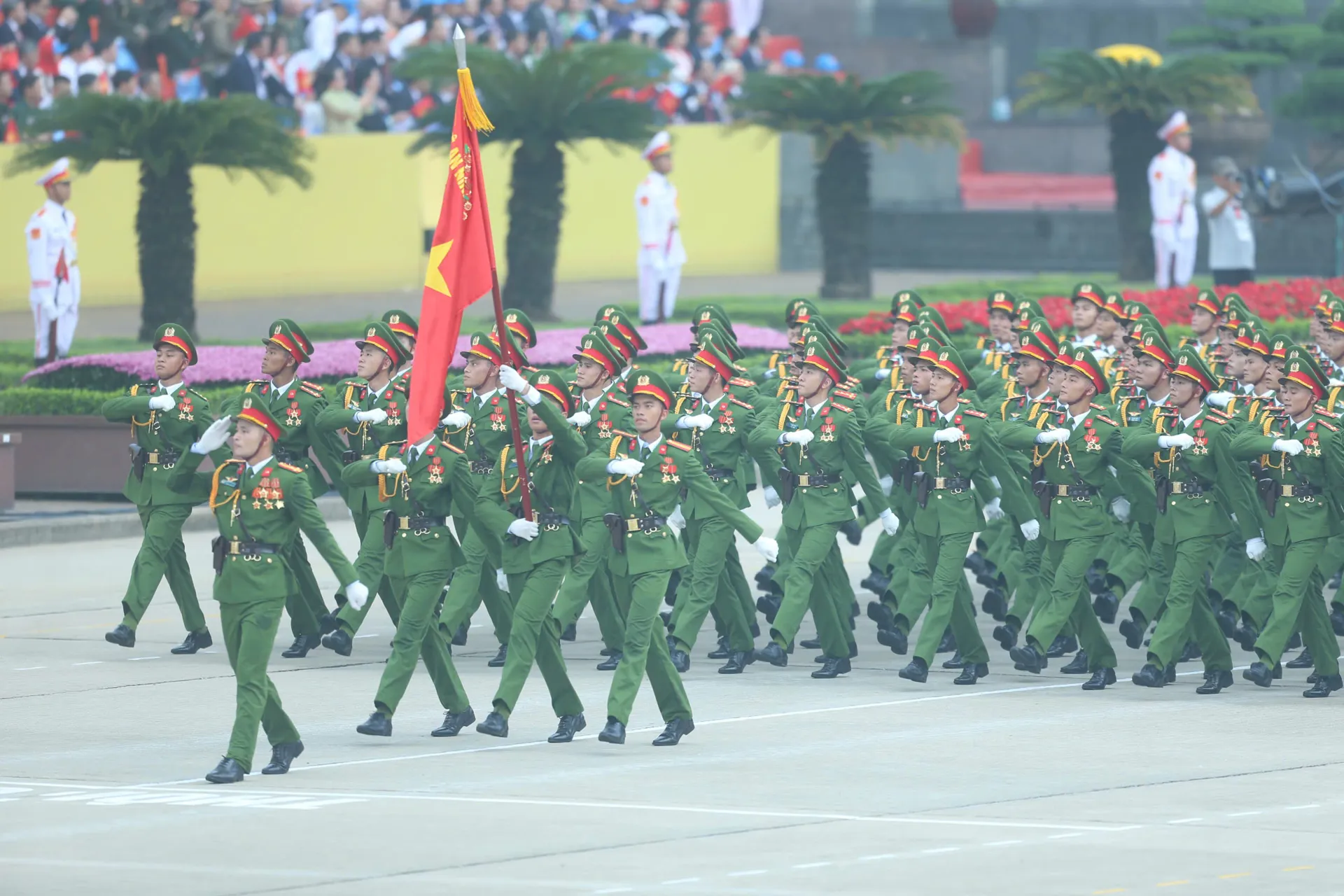 Hình ảnh 66
