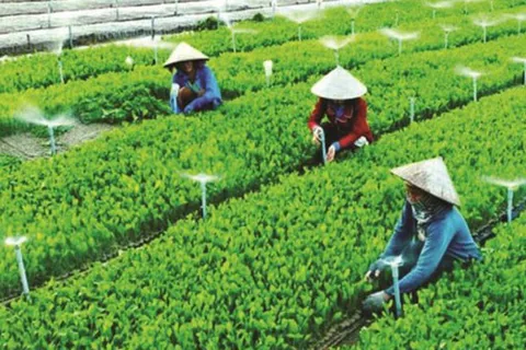 Quy chế hoạt động của Ban Chỉ đạo quốc gia về kinh tế tập thể