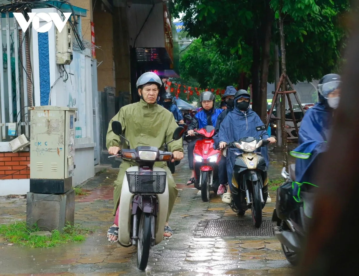 Hình ảnh 3