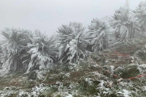 Miền Bắc, Hà Nội cao điểm giá rét, đề phòng khả năng xảy ra băng giá