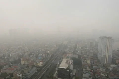 Thời tiết ngày 28/1/2026: Miền Bắc, Hà Nội sương mù, trời rét