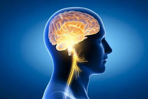 5 điều nên làm giúp bộ não trẻ mãi không già