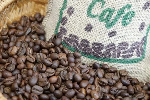 Cách đơn giản để loại bỏ mùi ẩm mốc trong nhà