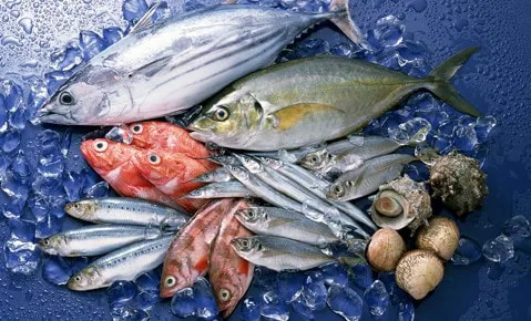 Một loại cá gây ung thư cực cao, nhiều người hay ăn