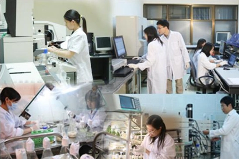 Trách nhiệm người đứng đầu trong triển khai nhiệm vụ phát triển KHCN, chuyển đổi số của cơ quan, tổ chức