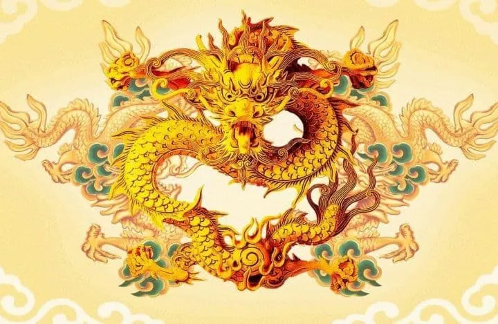 Hình ảnh 1
