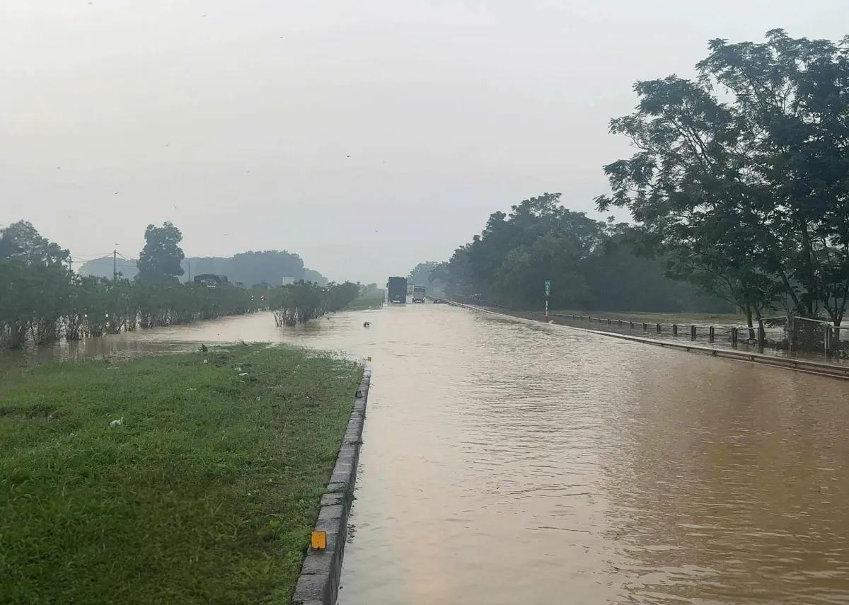 Hình ảnh 3