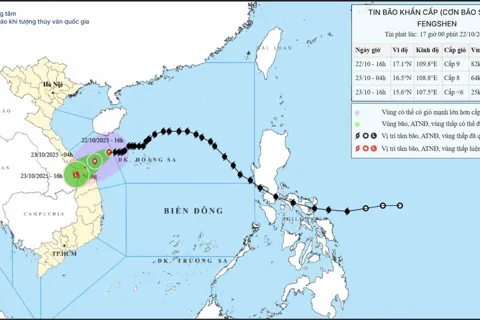 Bão số 12 Fengshen giật cấp 11, quần thảo vùng biển từ Nam Quảng Trị đến Quảng Ngãi, cách TP Đà Nẵng 190km
