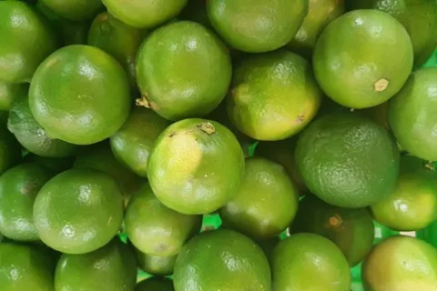 4 cách uống chanh ấm an toàn cho sức khỏe ít người biết
