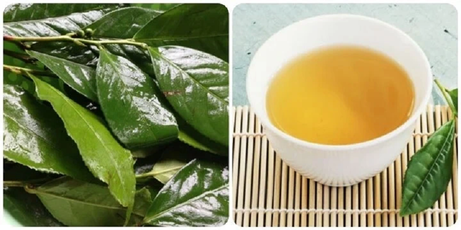 Hình ảnh 1