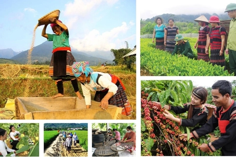 Thực hiện các chương trình mục tiêu quốc gia đồng bộ với mô hình chính quyền địa phương 2 cấp