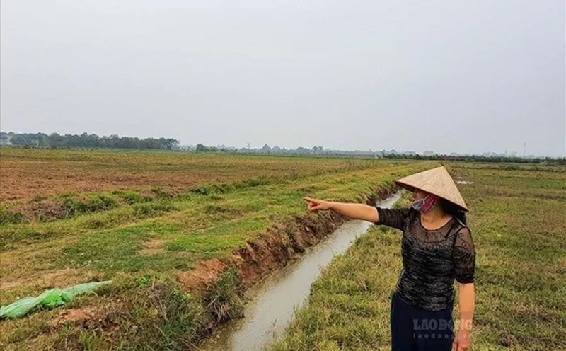 Hình ảnh 1