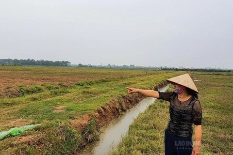 Thay đổi quan trọng về bồi thường đất nông nghiệp
