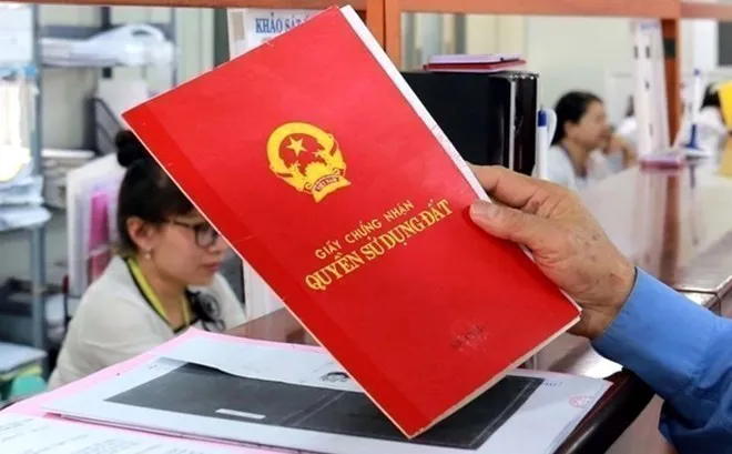 Hình ảnh 1