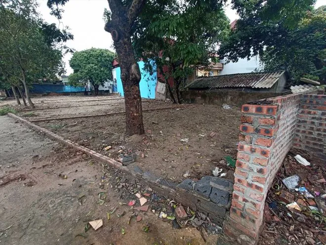 Hình ảnh 1