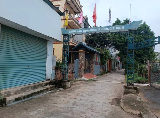 Hình ảnh 2