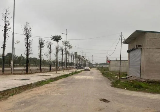 Hình ảnh 2