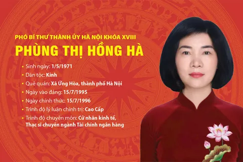 Tóm tắt tiểu sử Phó Bí thư Thành ủy Hà Nội Phùng Thị Hồng Hà
