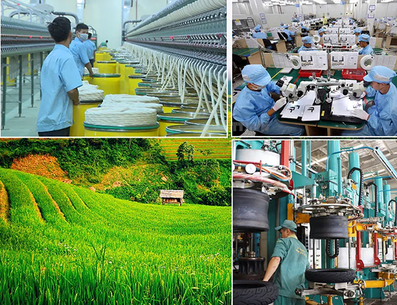 Chính phủ phê duyệt Chương trình phát triển ngành công nghiệp môi trường Việt Nam giai đoạn 2025-2030