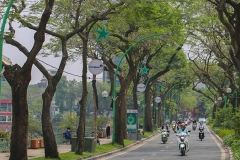 Dự báo thời tiết ngày 11/6/2025: Miền Bắc, Hà Nội giảm mưa
