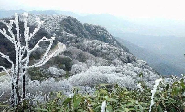 Không khí lạnh tăng cường, khu vực Bắc Bộ giảm từ 7-10 độ C, có nơi dưới 3 độ C