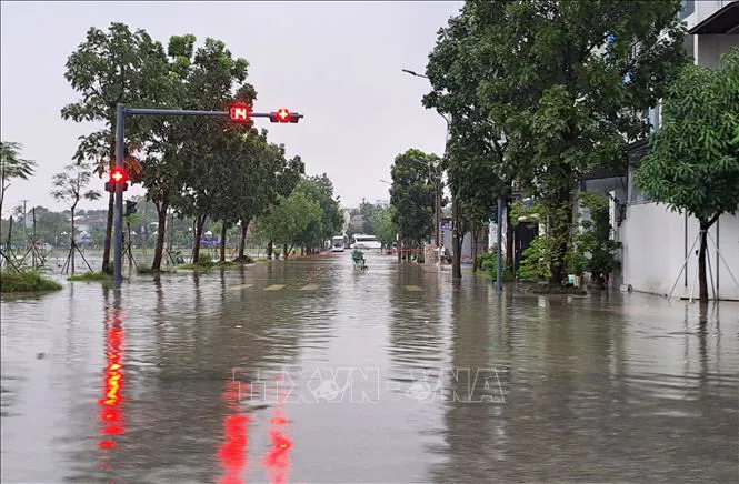 Hình ảnh 7