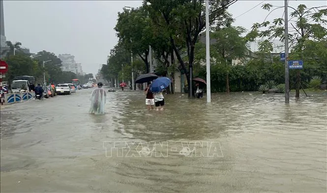 Hình ảnh 1
