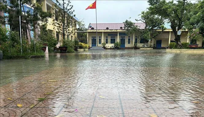 Hình ảnh 3