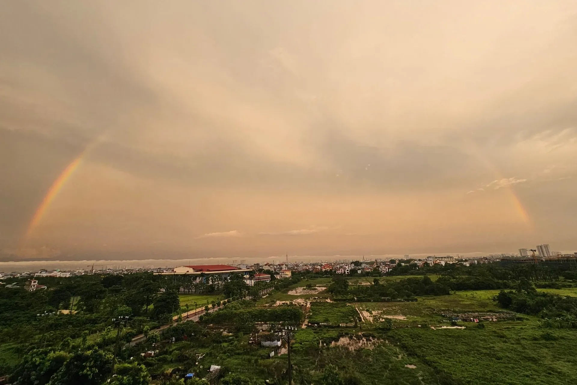Hình ảnh 6