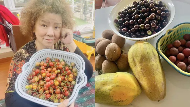 Hình ảnh 2