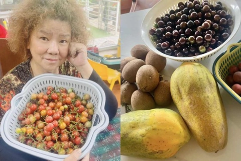 Trọng Tấn và dàn nghệ sĩ sở hữu nhà vườn rộng rãi