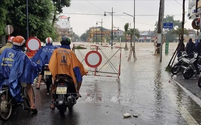 Hình ảnh 5