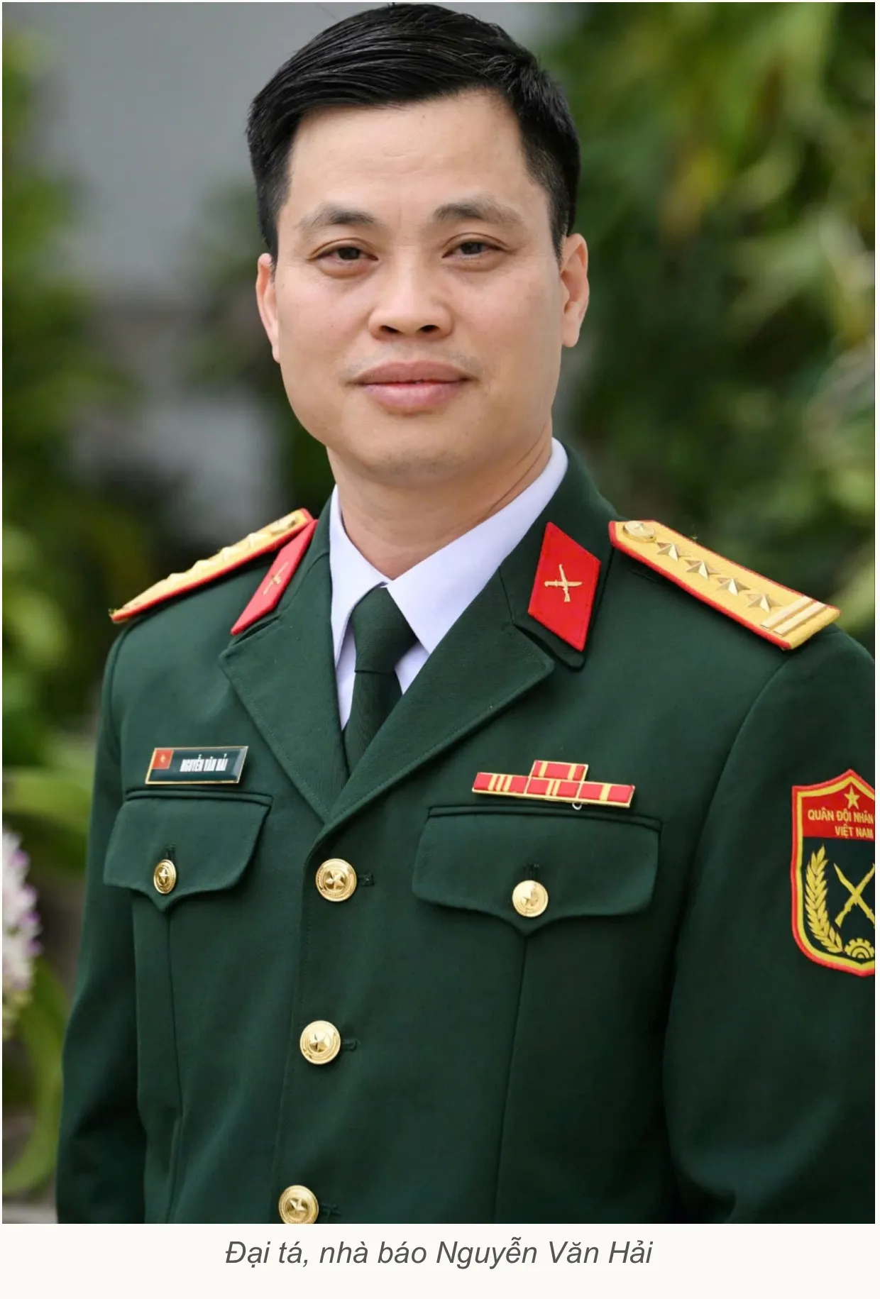 Hình ảnh 3