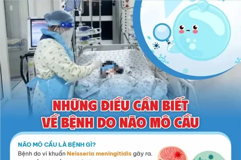 Những điều cần biết về bệnh do não mô cầu
