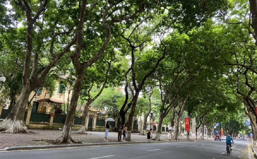 Hình ảnh 1