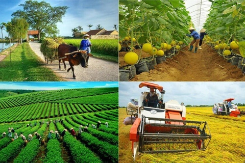Phó Thủ tướng Chính phủ Nguyễn Chí Dũng làm Trưởng Ban Chỉ đạo quốc gia về kinh tế tập thể