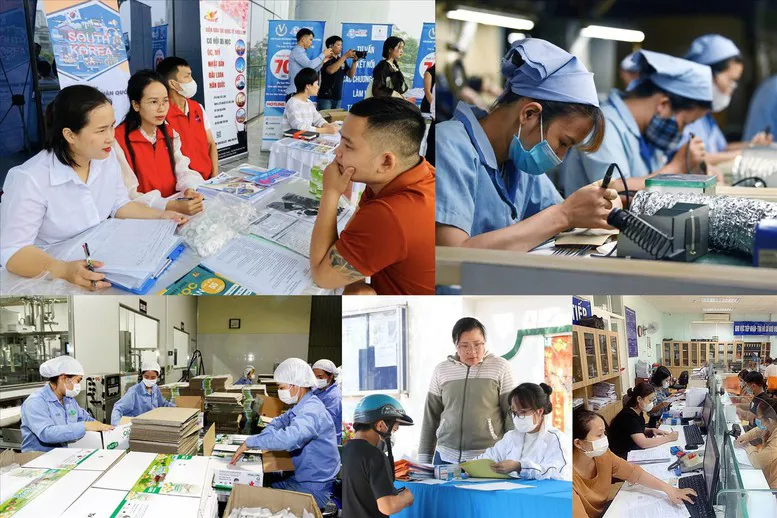 Quy định về lao động, việc làm trong Trung tâm tài chính quốc tế tại Việt Nam