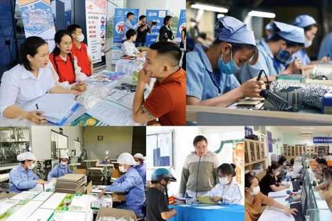 Quy định về lao động, việc làm trong Trung tâm tài chính quốc tế tại Việt Nam