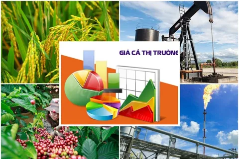 Hoàn thiện dự thảo Luật sửa đổi, bổ sung một số điều của Luật Giá đảm bảo chất lượng, đúng tiến độ