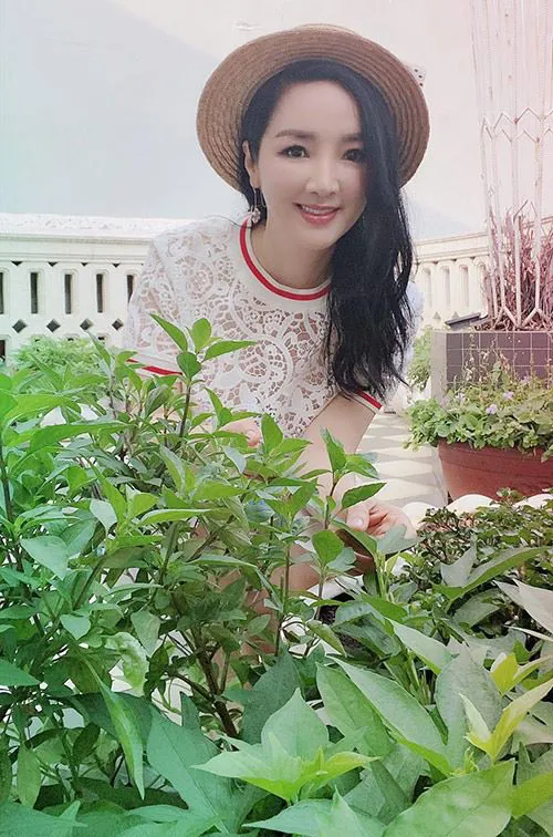 Hình ảnh 1