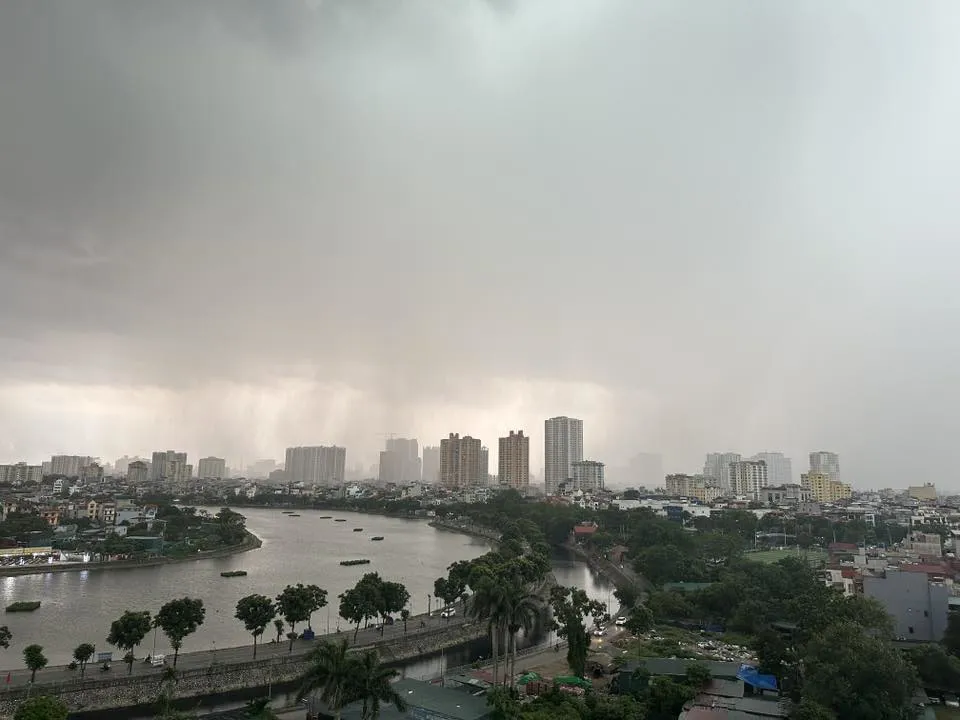 Hình ảnh 2